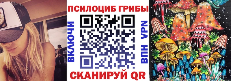 Галлюциногенные грибы Psilocybine cubensis  Купить где  Новосиль 