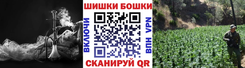 Марихуана ГИДРОПОН  Купить закладки  Новосиль 